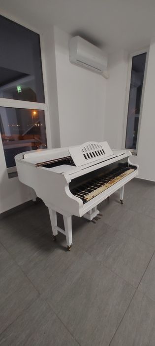 Pian Stingl Original