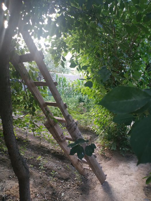 Хороший свой дом