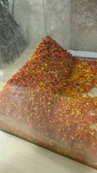 Продам аквариум со всей системой