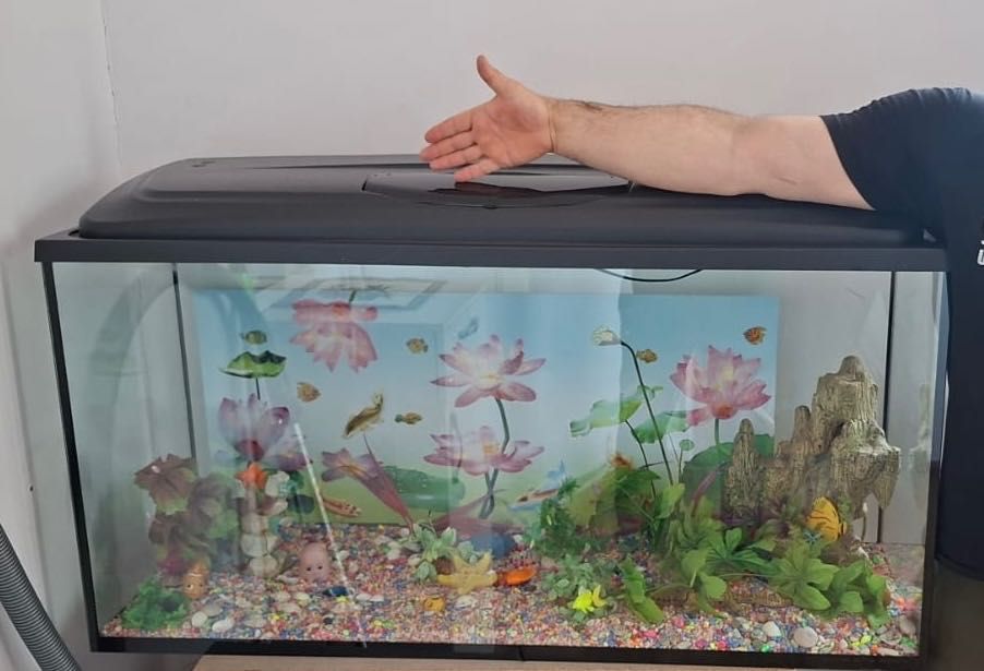 Аквариум Аквариум