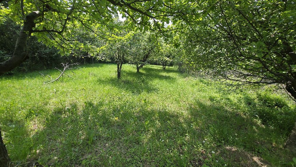 Продава се Парцел в с. Кралев дол, Област Перник - 1050 кв.м за 44 €/кв.м - Снимка #3