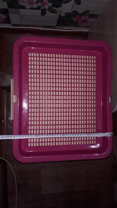 Лоток-туалет для собак.