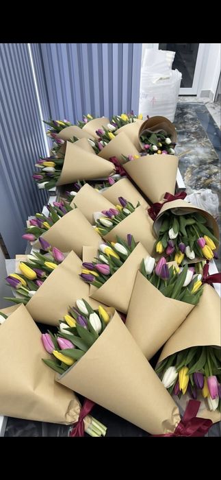 Корпоратив тюльпаны Алматы 600 тг