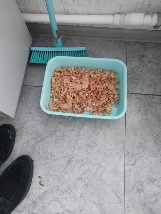 отдам в хорошие руки кота!