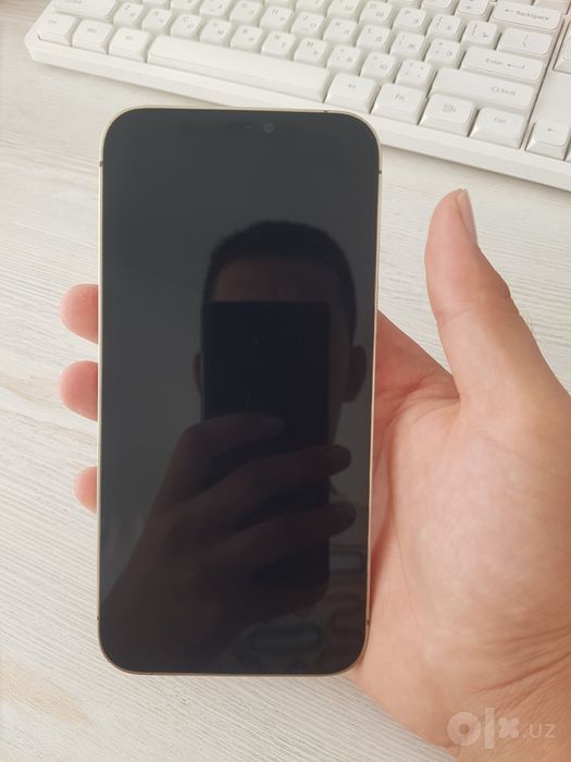 Iphone 12 pro max