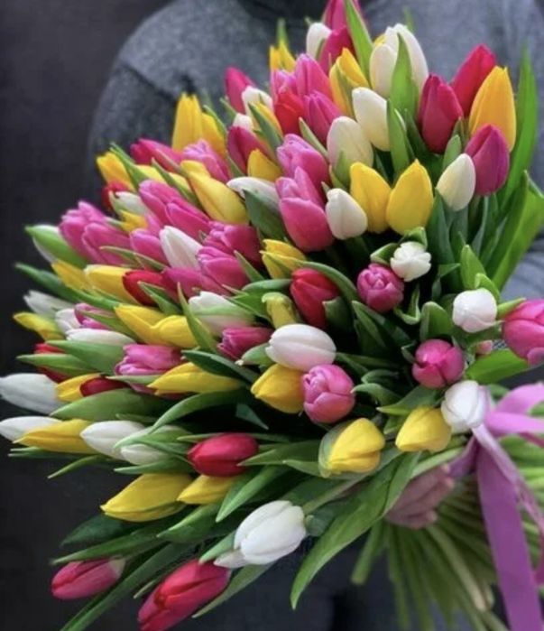 Свежие Голландские тюльпаны