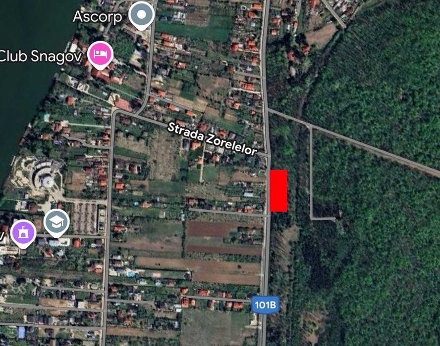 Vand teren 7.000 mp Snagov Sat (Soseaua Snagov)