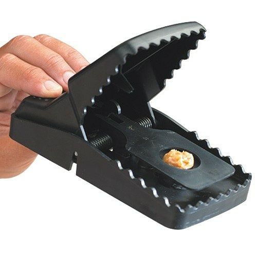 Ловушка для крыс крысы ловка