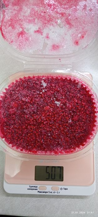 Продам малину домашнюю