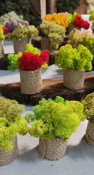 Скандинавски мъх,декорации