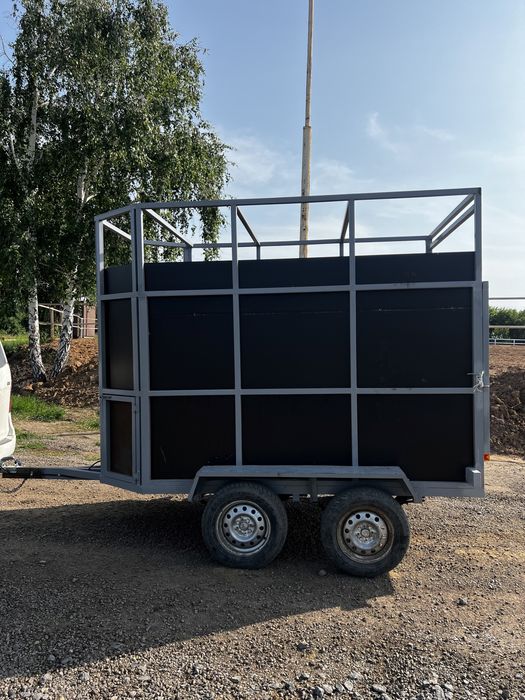 Аренда коневозка легкая