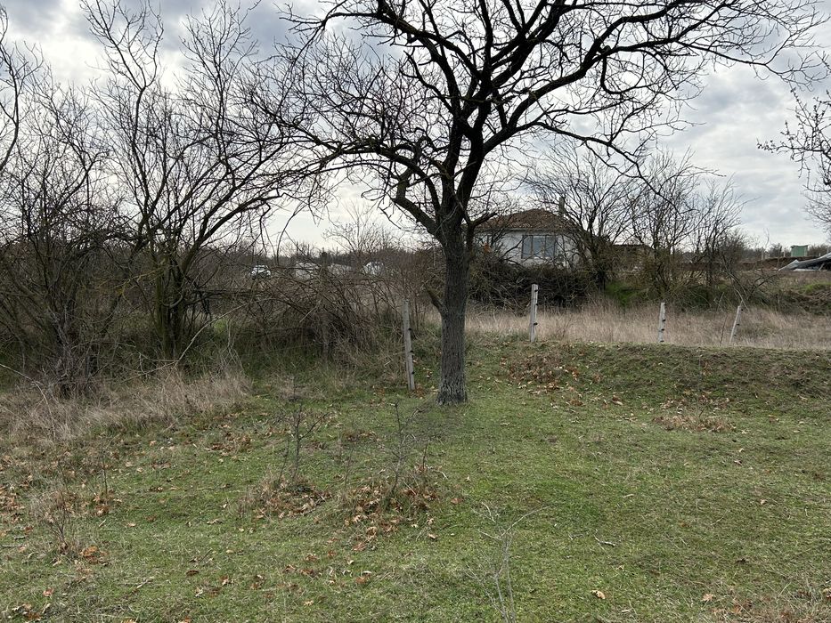 Продава се Земеделски имот в с. Константиново, Област Варна -  кв.м за 11500 €/дка - Снимка #5