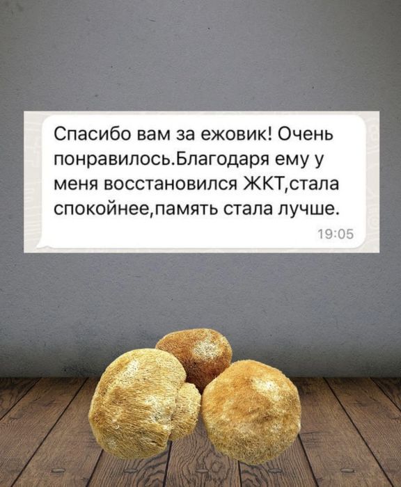 Ежовик гребенчатый