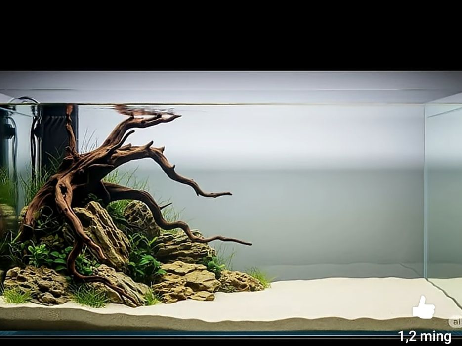 Akvarium 200 litr Toshkent yetkazib berish xizmati tekin