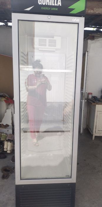 Холодильник сотилад