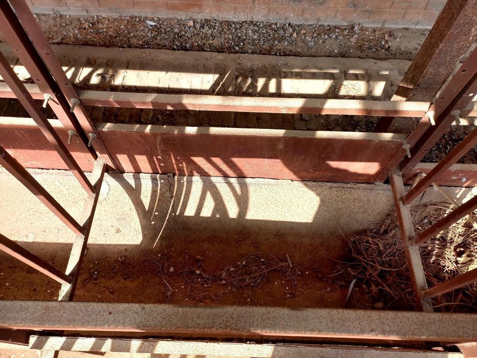 Охурлар бор мол ва қўйга