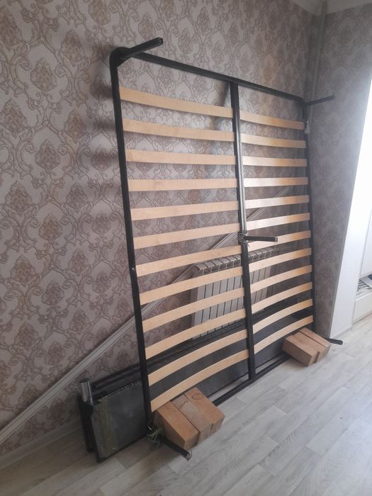 Двухспалные Ағаш