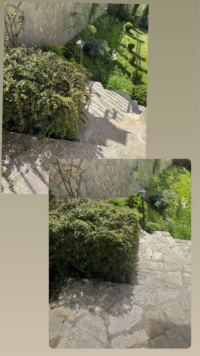 Поддръжка на зелени площи за град София и околностите