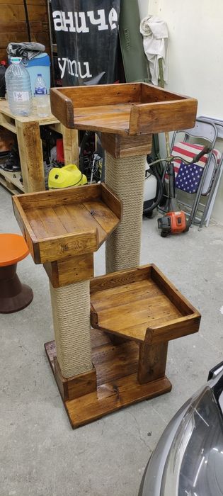 Котешка катерушка дърво