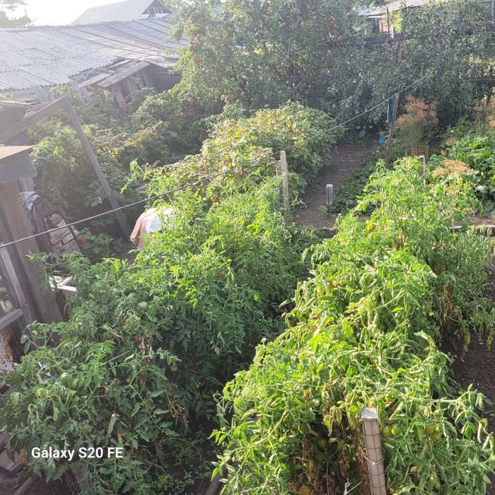 Продаётся особняк