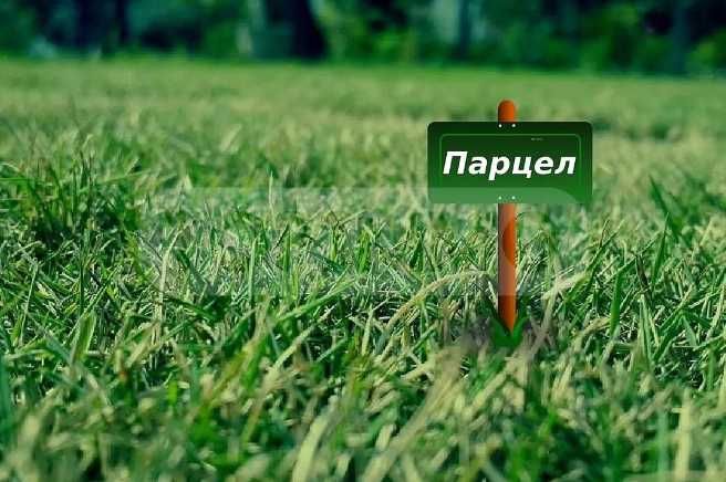 ЗПЗ парцел 900 м2 под наем