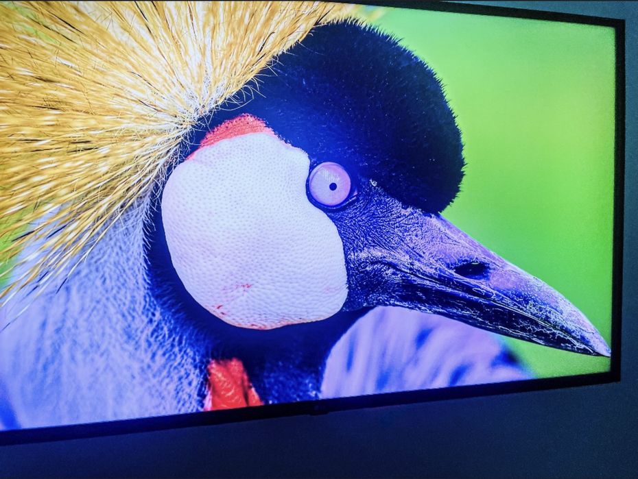 Tv  televizor LG 65UR81003LJ 164 cm, 4K UHD, cu garantie