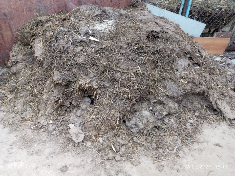 Навоз     малдың     қиы