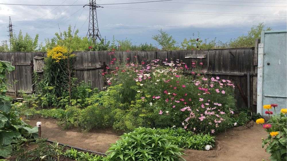 Картошка домашняя продам.