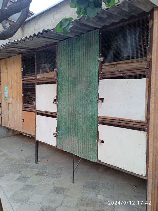 Куйон. Товук бокиш учун кафас сотилади