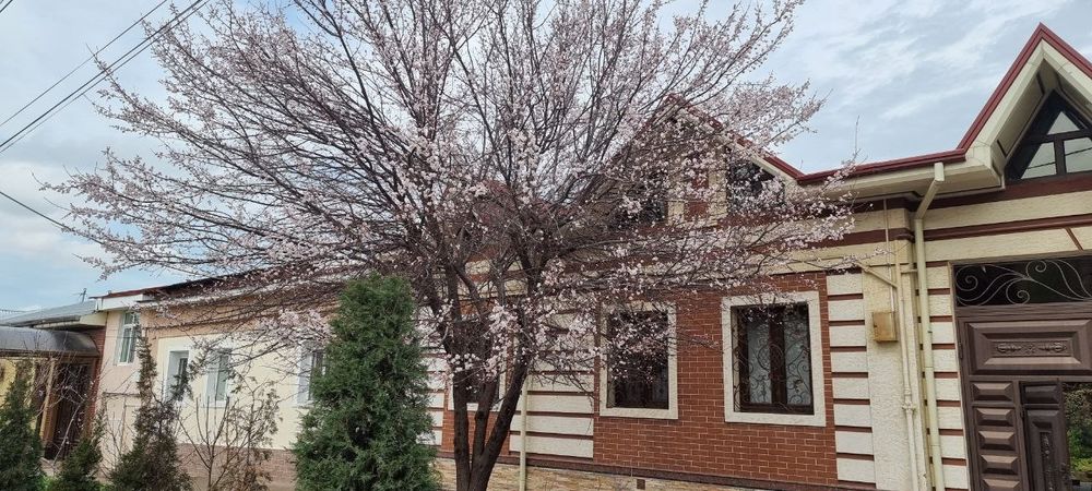 Срочно участок  шахристанкский 3.7 сот