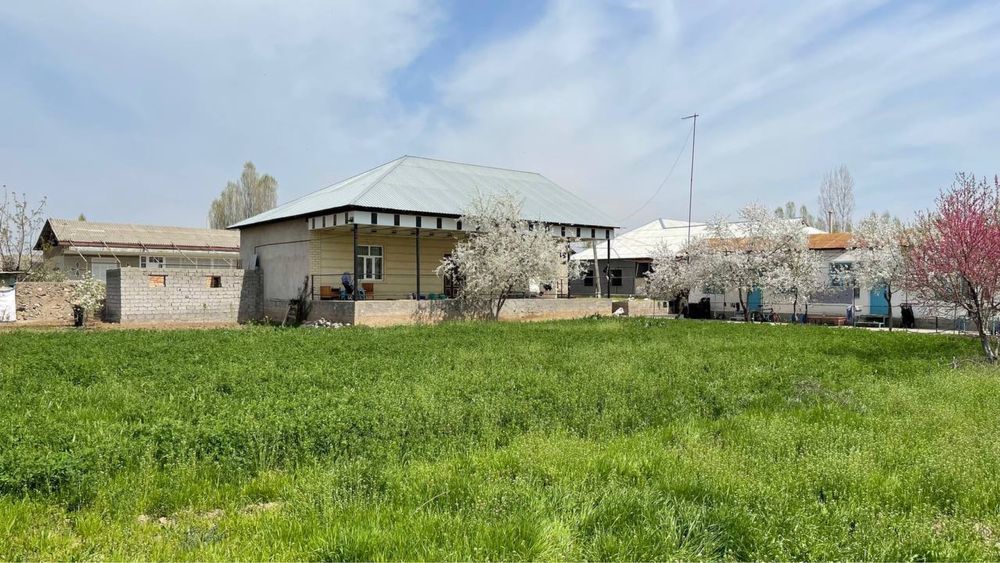 Hovli sotiladi Yuqori chirchiq yangibozor oq ovul maxallasi