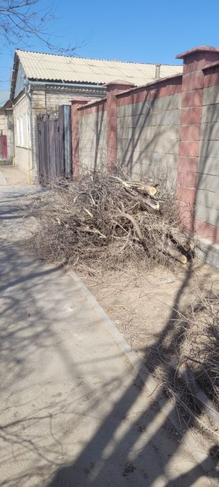 Кесылген агаштар