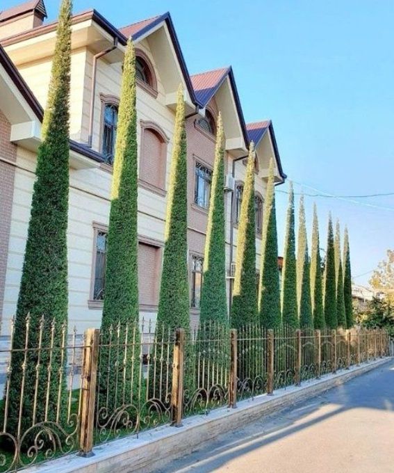 Арча кесиш дорилаш ва газон икиш рулонавой сим икиш