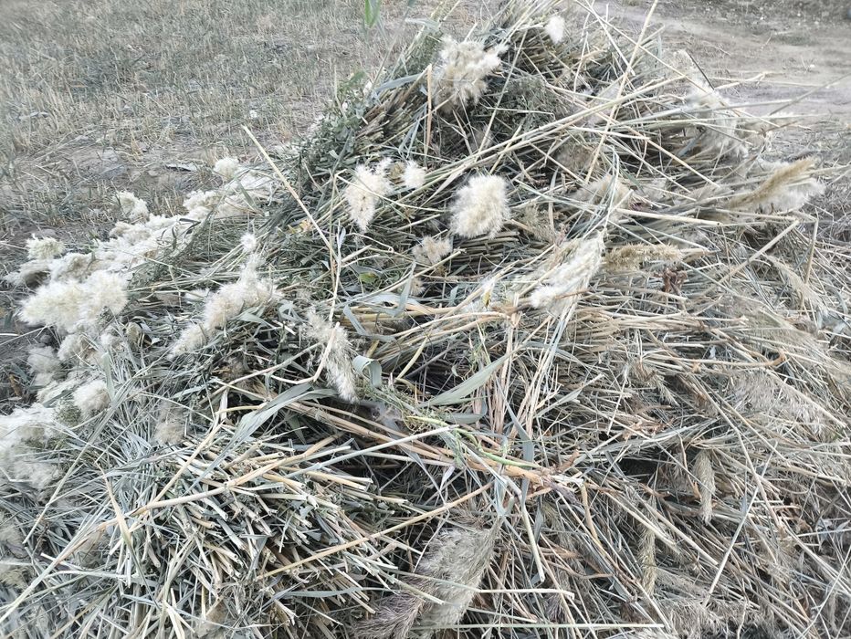 Баушөп сатылады,қолмен орылған