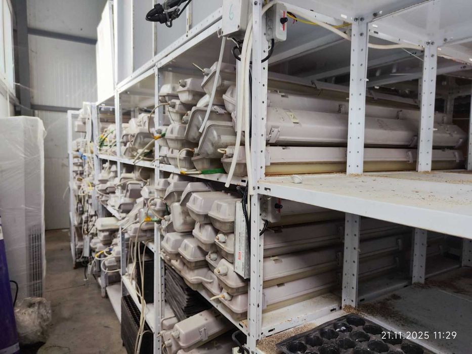 Луминисцентни лампи