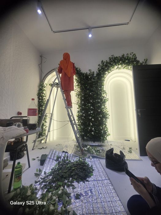 Фитостина   декор