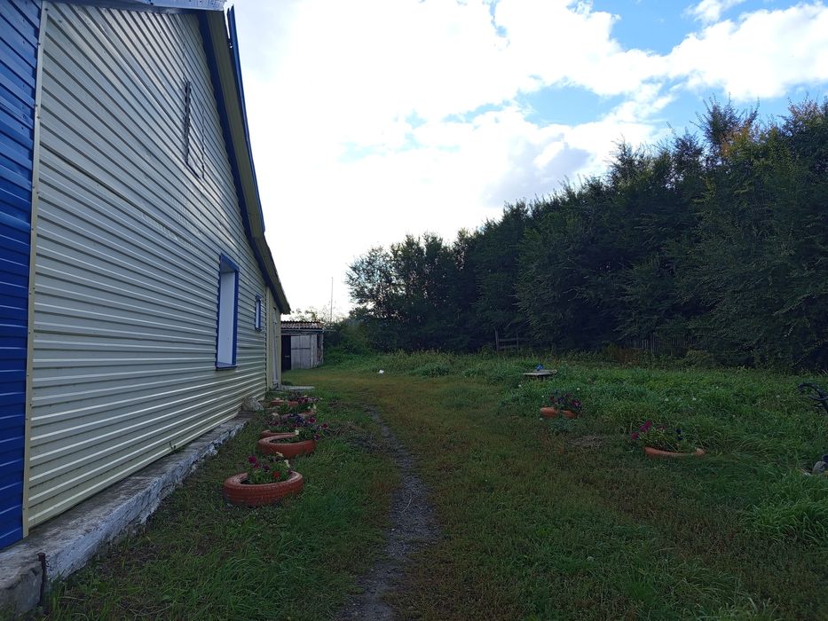 Продам дом в Сергеевке