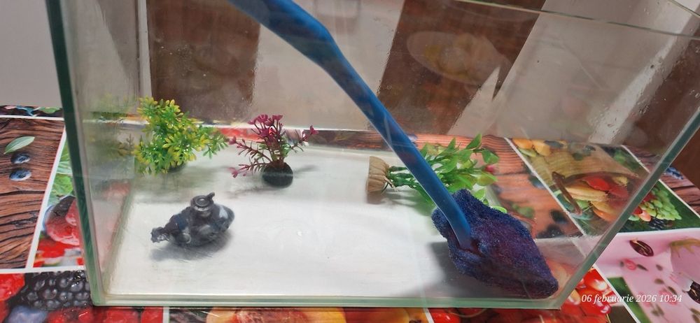 Acvariu cu accesorii!