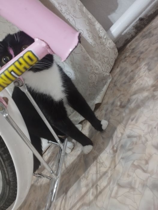 Велосипед на запчасти