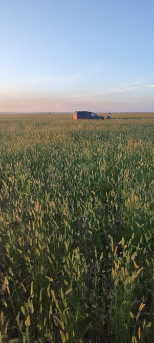 Продам землю 450 гектар