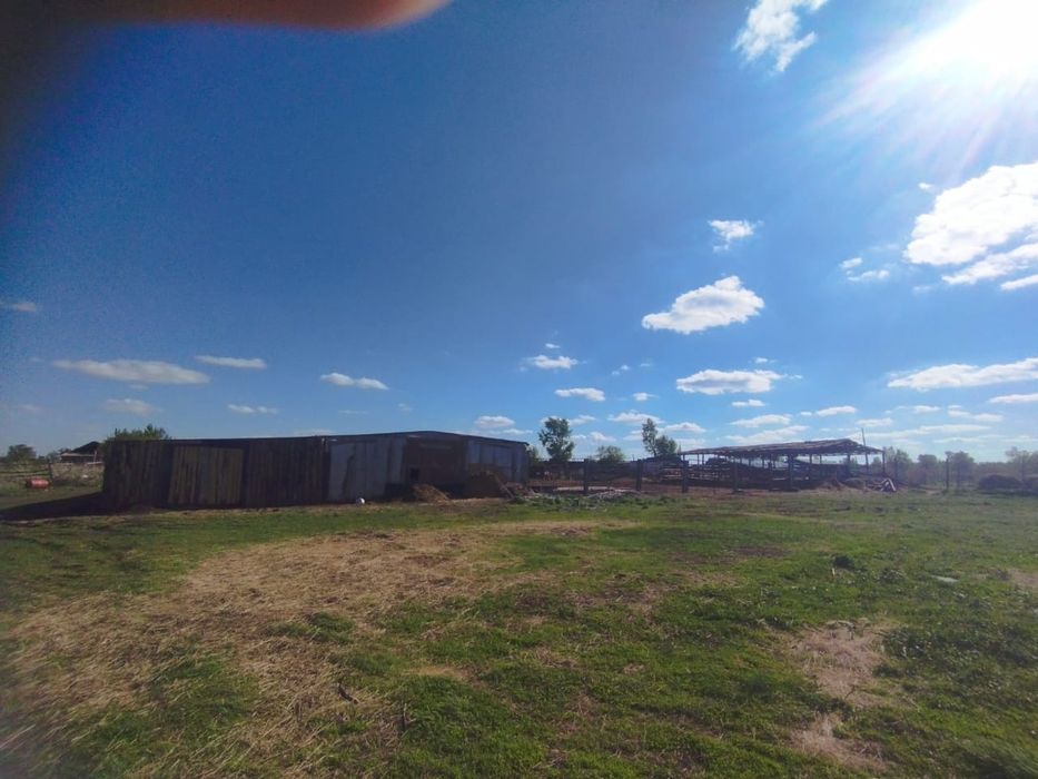 Продам дом с фермой басбеке