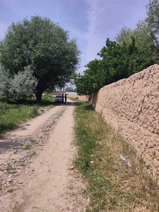 Ер 1 гектар Зангиота Боз сув, нархи 3200 бир сотихи