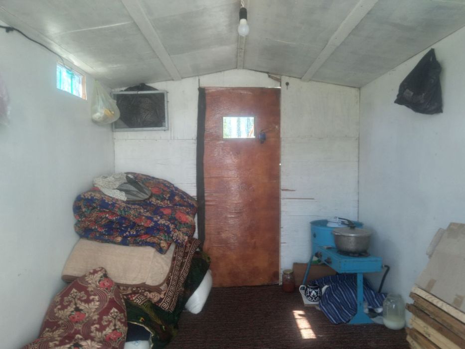 Diqqat!Asalari uyalari sotiladi.Holati yangi