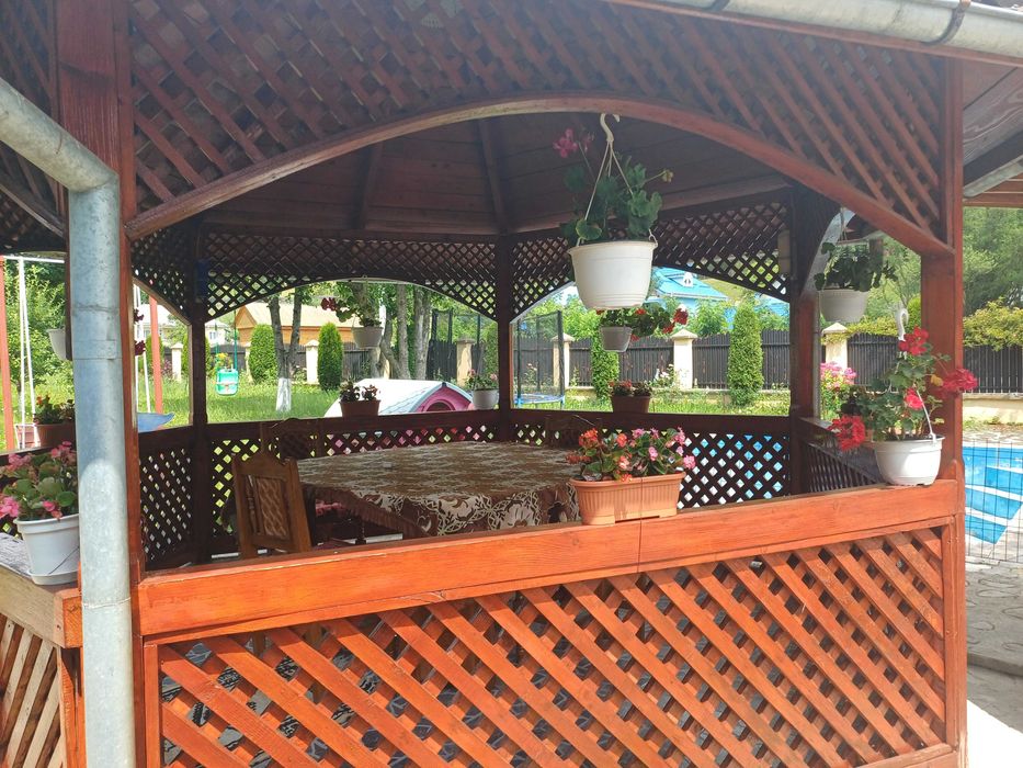 Vila Telec - Bicazu Ardelean - Regim Hotelier