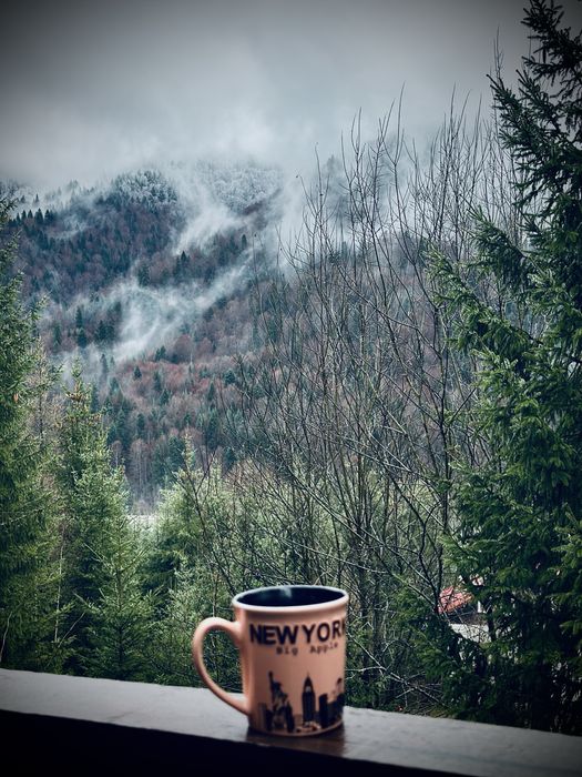 Vila de inchiriat Azuga, Prahova  - Liber de CRACIUN