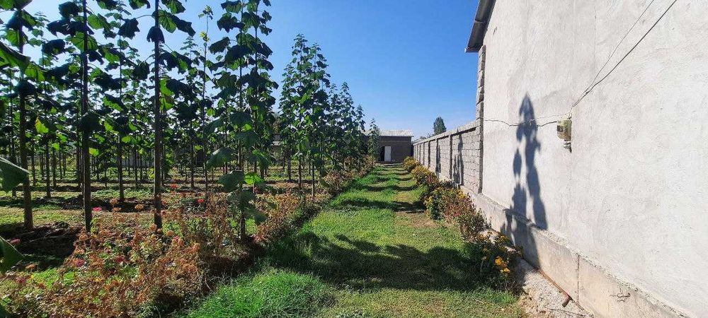 Срочно Продается Участок в Пскенте Цена Договорная.