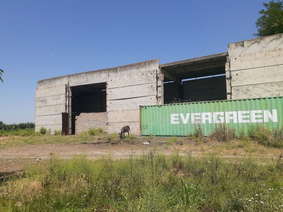 Ферма Тошкент вилояти Чиноз туман