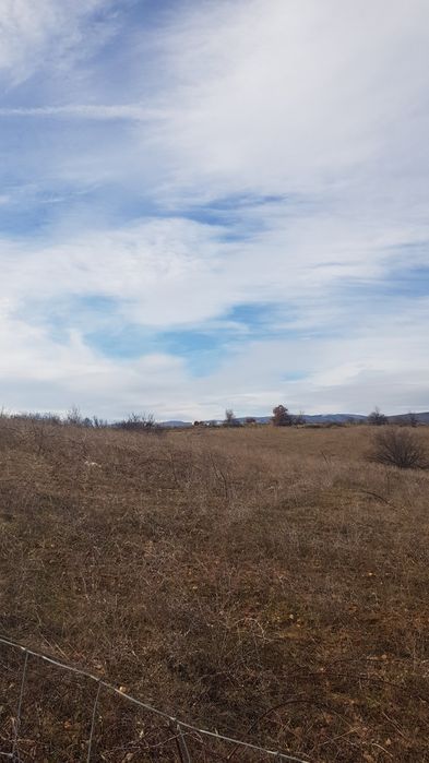 Продава се Парцел в Благоевград, Първа промишлена зона - 5000 кв.м за 6 €/кв.м - Снимка #1