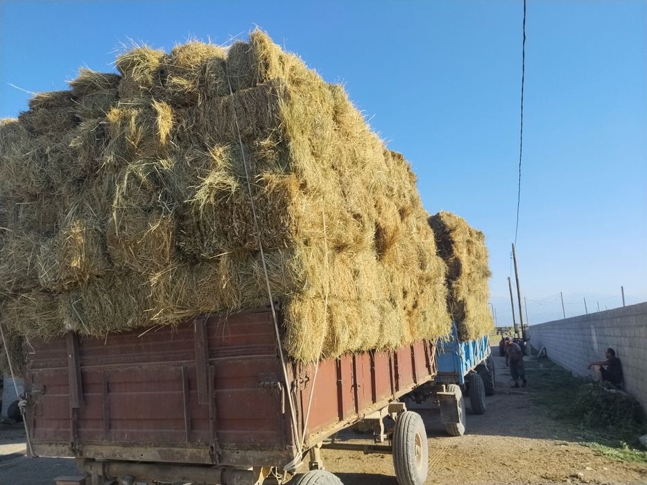 Сено разнотравье