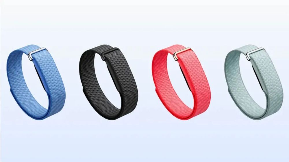 Google Fit Bit Air